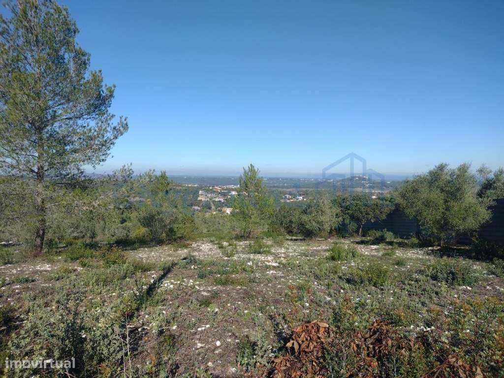 Terreno de 1505m2 urbanizável em Ortiga, Fátima com vista Castelo O...-12