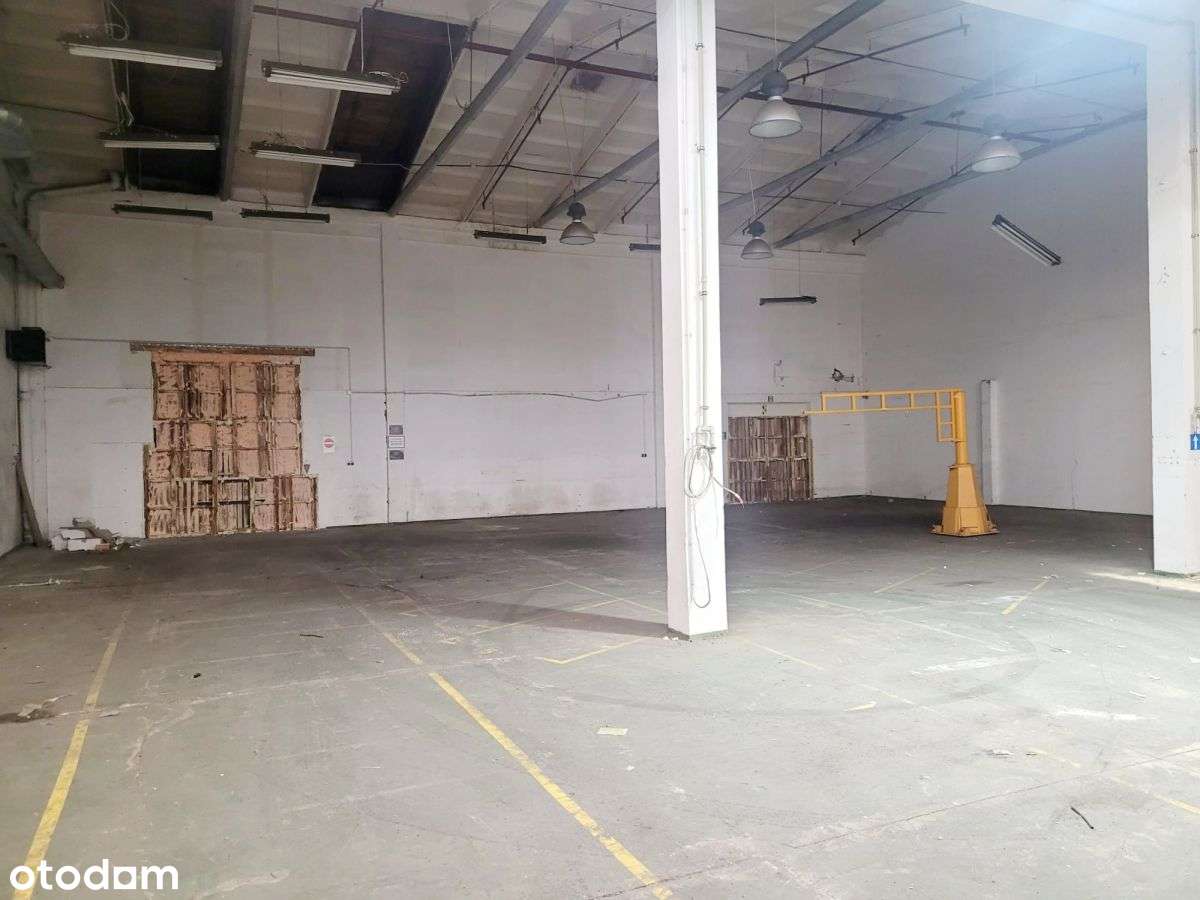 422 m² hala magazynowa w Opolu - Pełny obrazek: 5/9