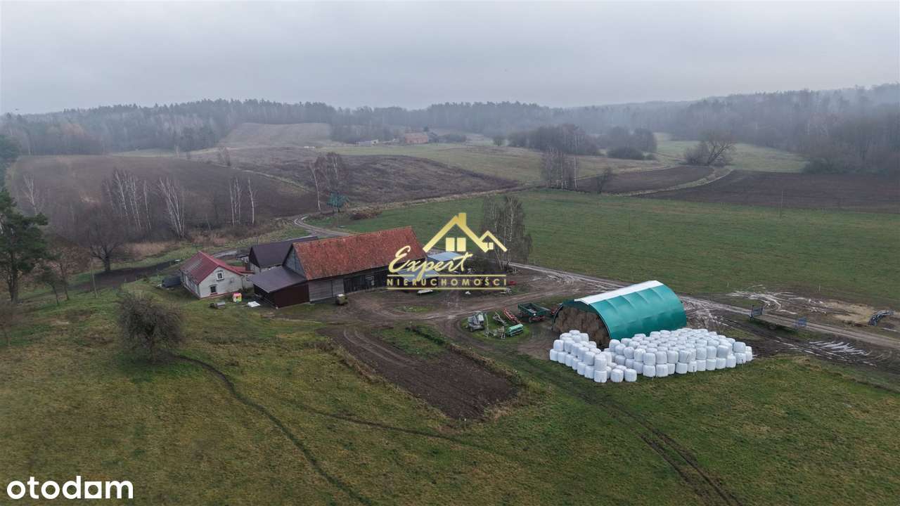 Grunty rolne z zabudową – gmina Ostróda - Pełny obrazek: 4/12