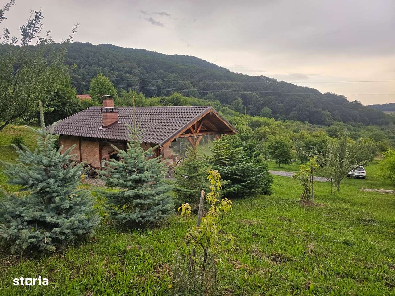 Teren 1.16 ha Valea Rusului – curent, 2 fântâni, căsuță + foișor-10