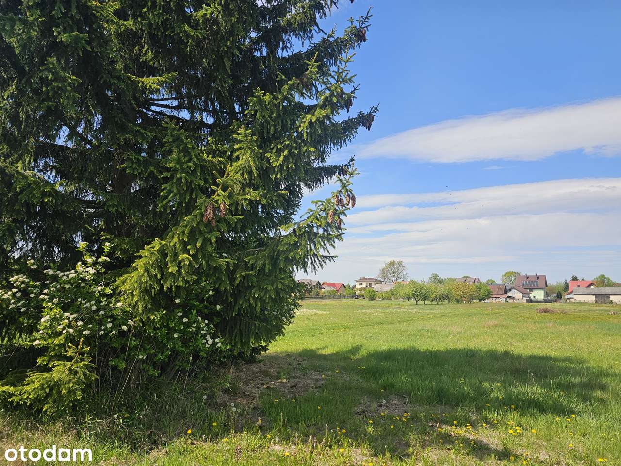 Piękne działki. Uchwalony plan. Obok szkoły, przystanku. Cisza, zieleń-8