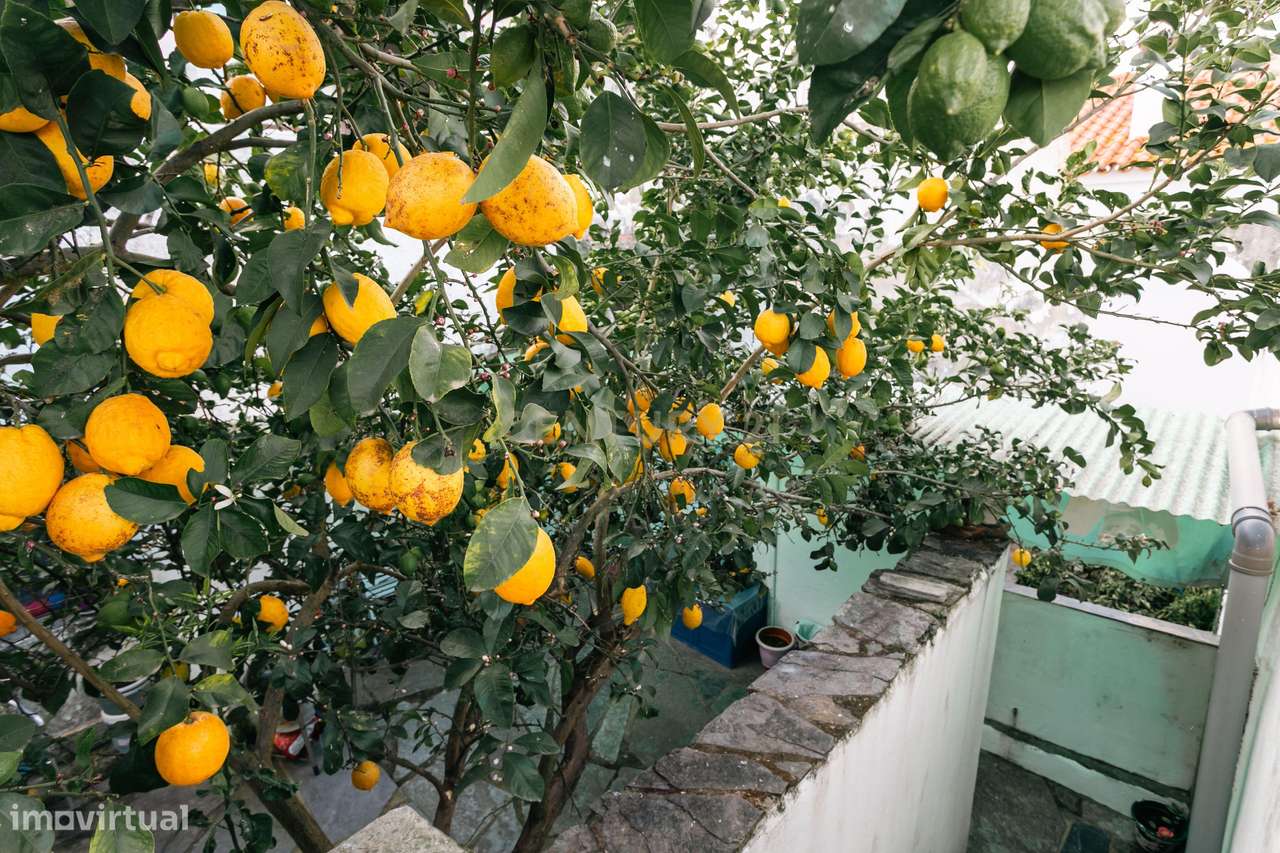Rés-do-Chão de Moradia T4 com 4 suítes no centro de Mourão - Alentejo-22