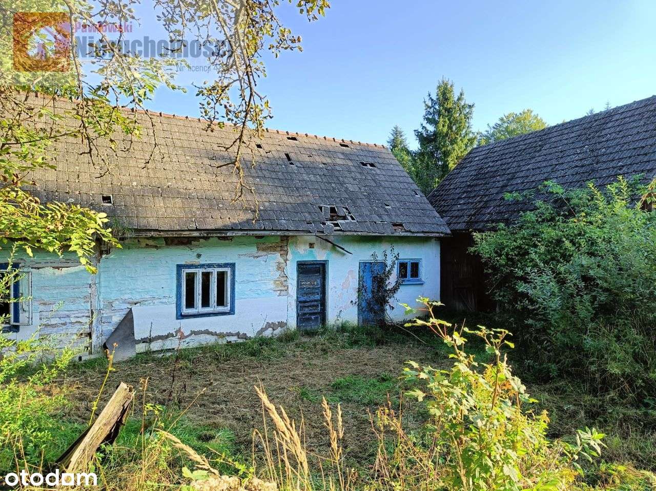 Dom na leśnej polanie - Pełny obrazek: 3/9