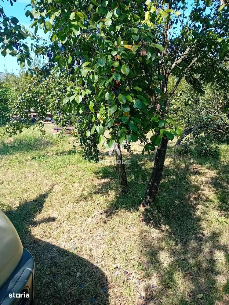 974 mp de vis, între pădure și cer - Teren intravilan, Cisnadioara, Si - Imagine principală: 3/18