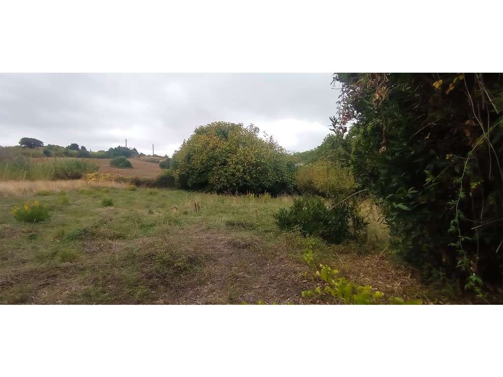 Adega / Armazém com projecto de arquitetura para conversão em morad...-23