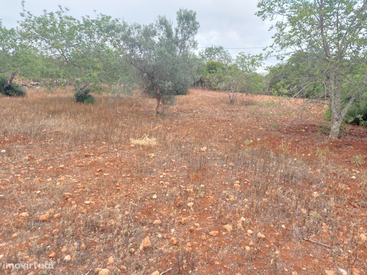 Lote de terreno Rústico com 9.700m2