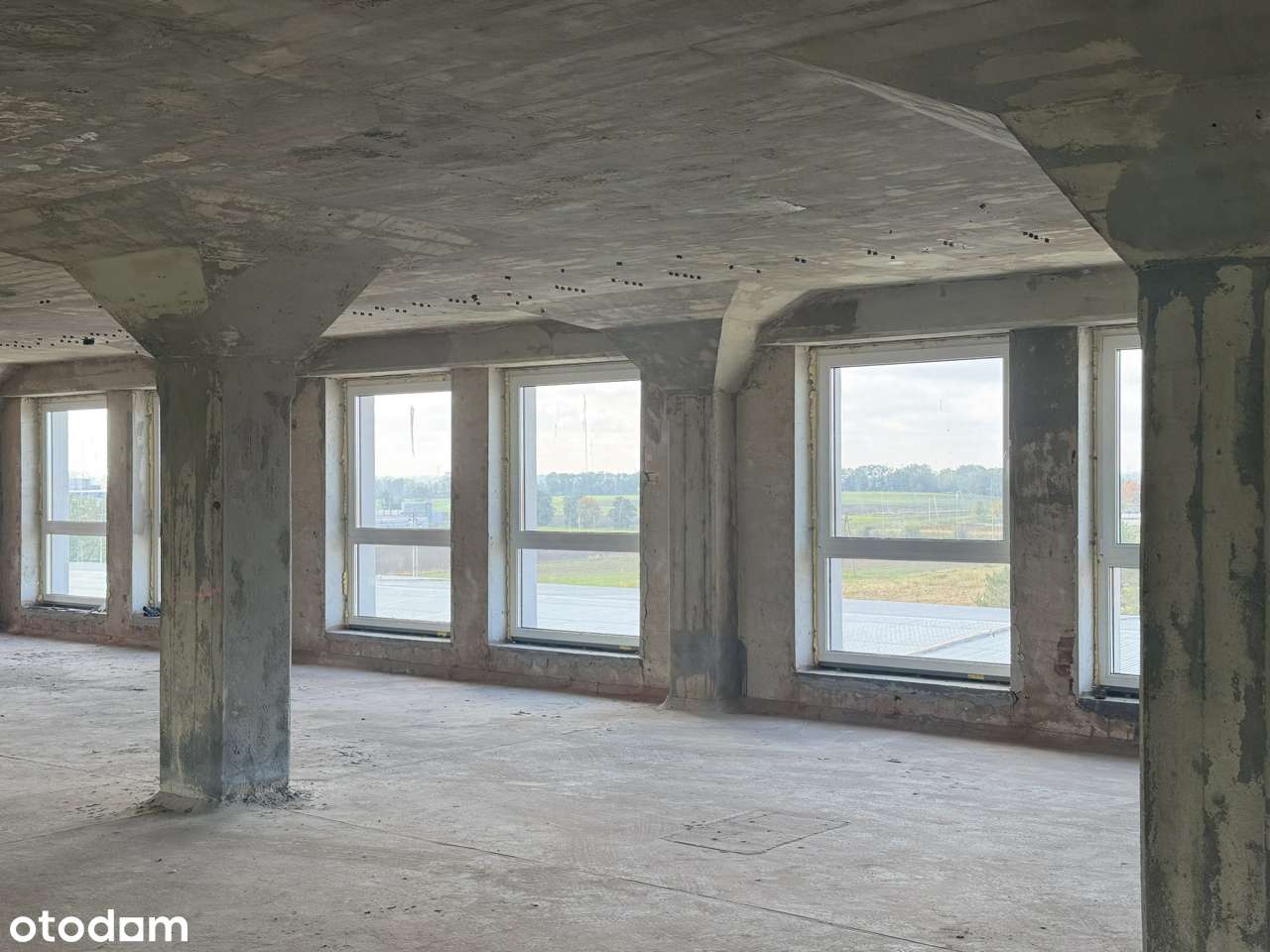 Budynek magazynowo-biurowy w Opolu - Pełny obrazek: 5/13