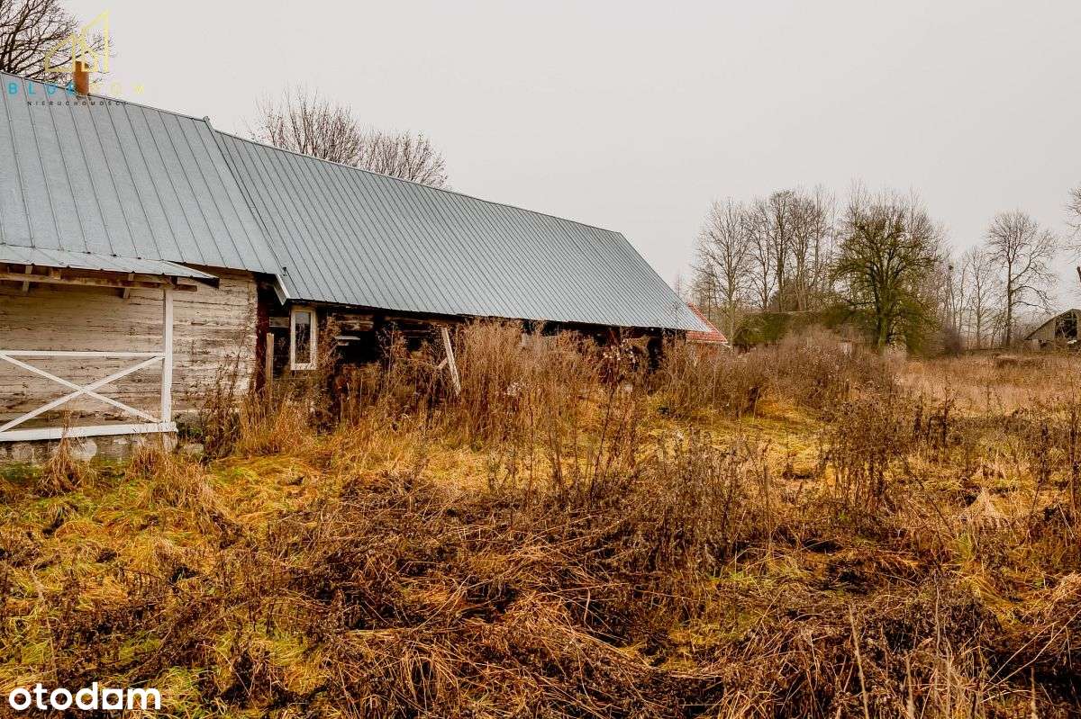 Siedlisko 90 m2 na działce 2700 m2 w Zaśpiczach-3