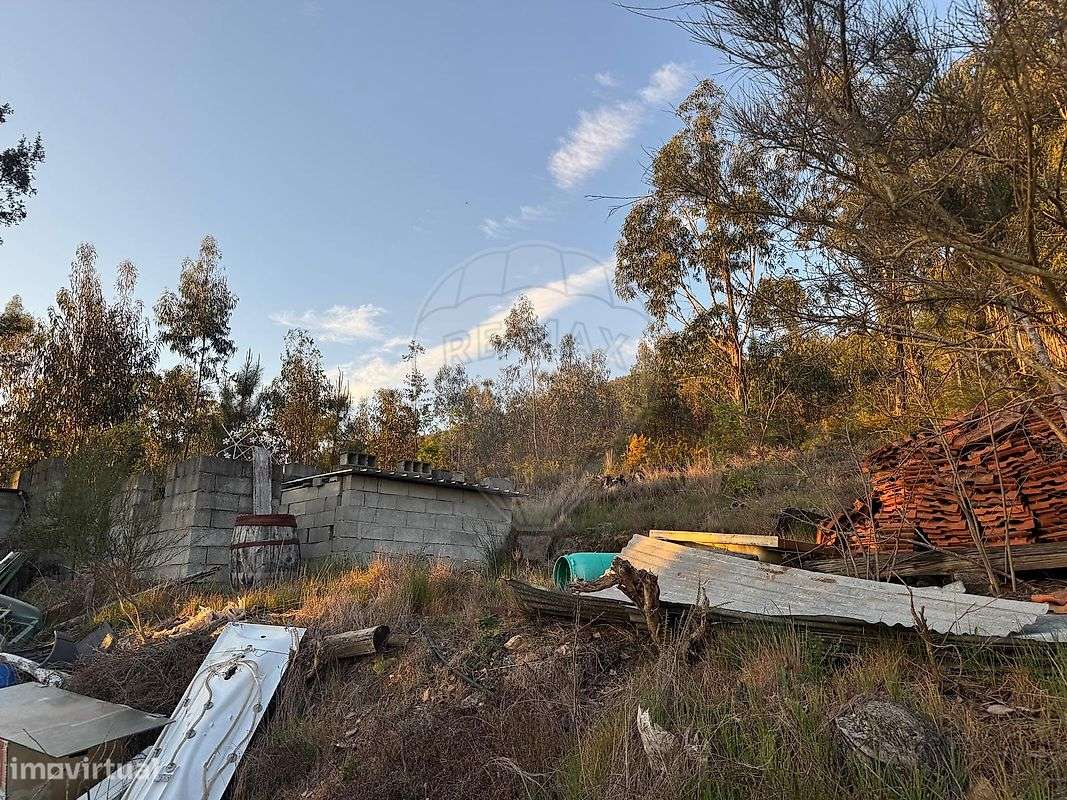 Terreno  para venda - Grande imagem: 5/6