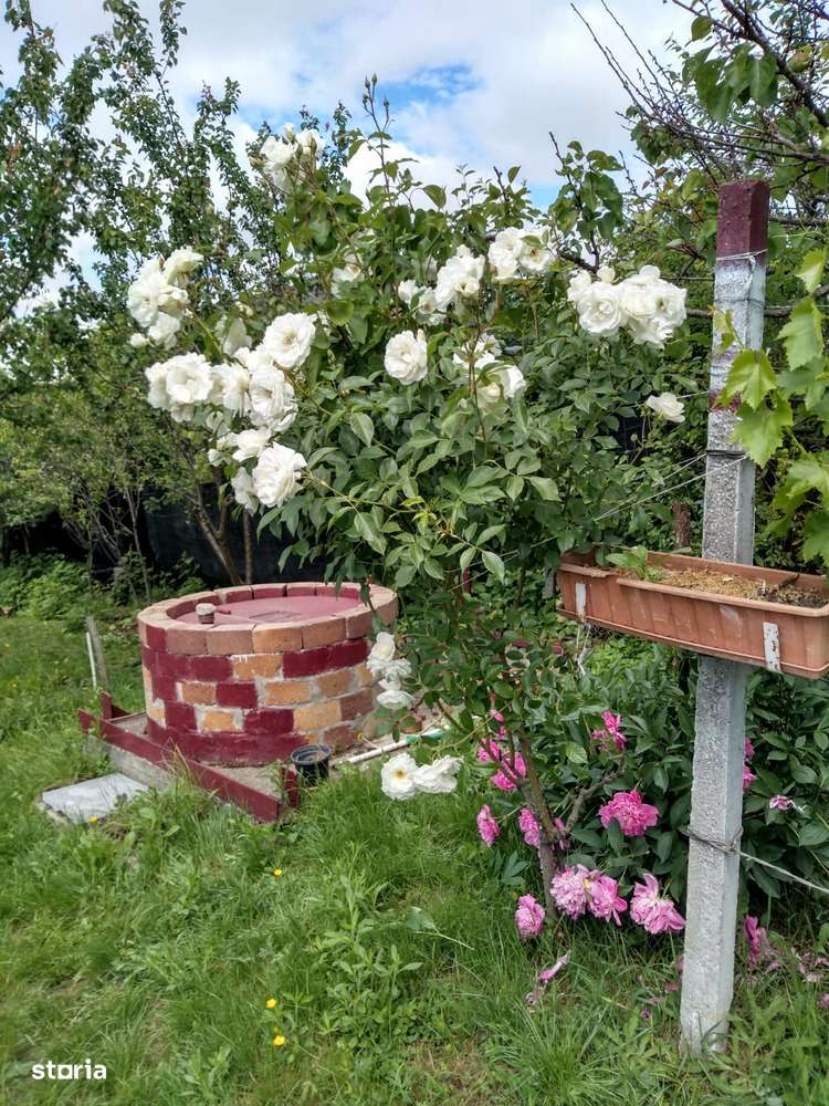 Teren cu anexa, strada Renasterii, Oradea - Imagine principală: 1/5