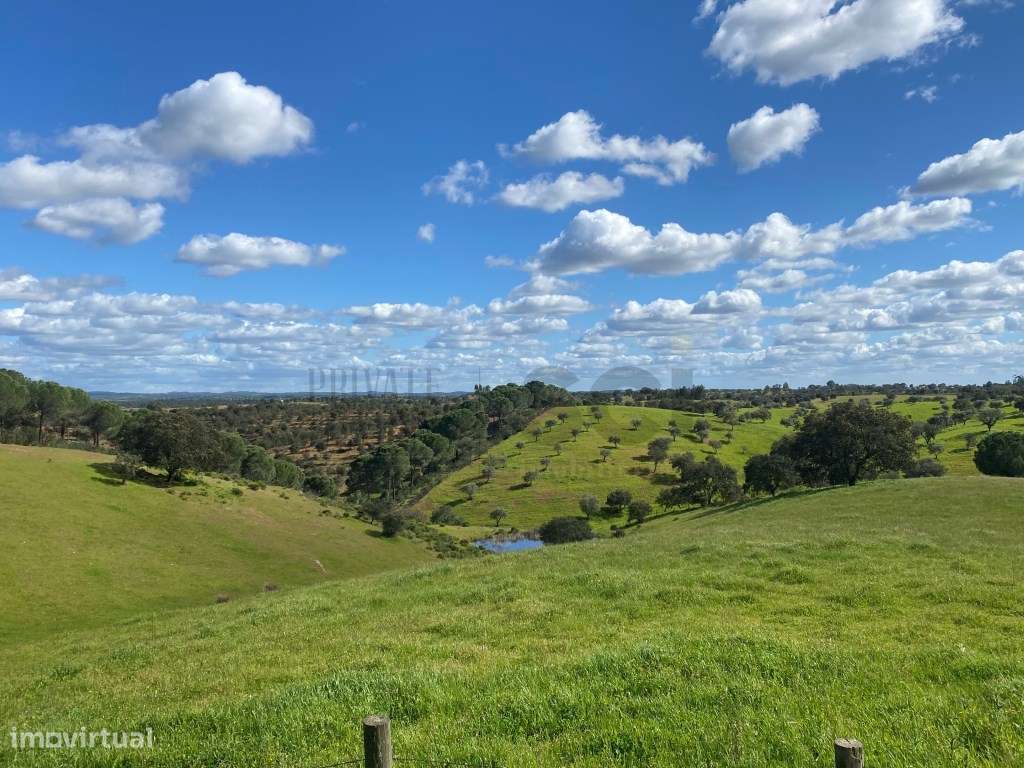 QUINTA T4, SERPA com uma vista fantástica , com duas barragens - Grande imagem: 5/60