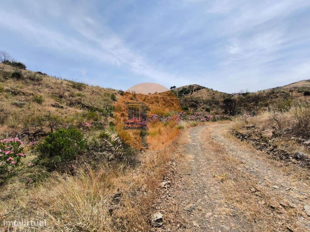 TERRENO COM 24.760 M2 - CORTE ANTÓNIO MARTINS - VILA NOVA DE CACELA... - Grande imagem: 5/27