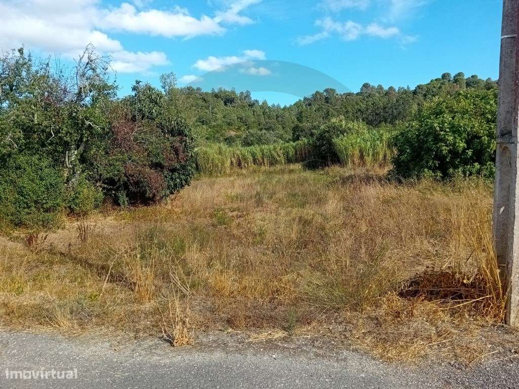 Terreno - Casais das Milhariças, Santarém - Grande imagem: 3/4