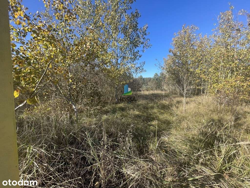 Działka w Ruskowie, gmina Janowo - Pełny obrazek: 5/11