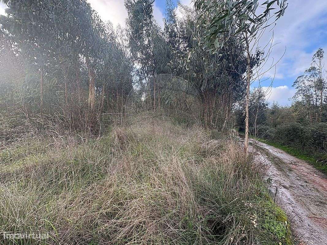 Terreno  para venda - Grande imagem: 3/5