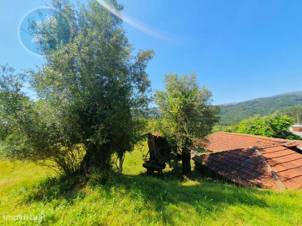 Quinta à venda para restauro em Arroteia freguesia de Rossas-17