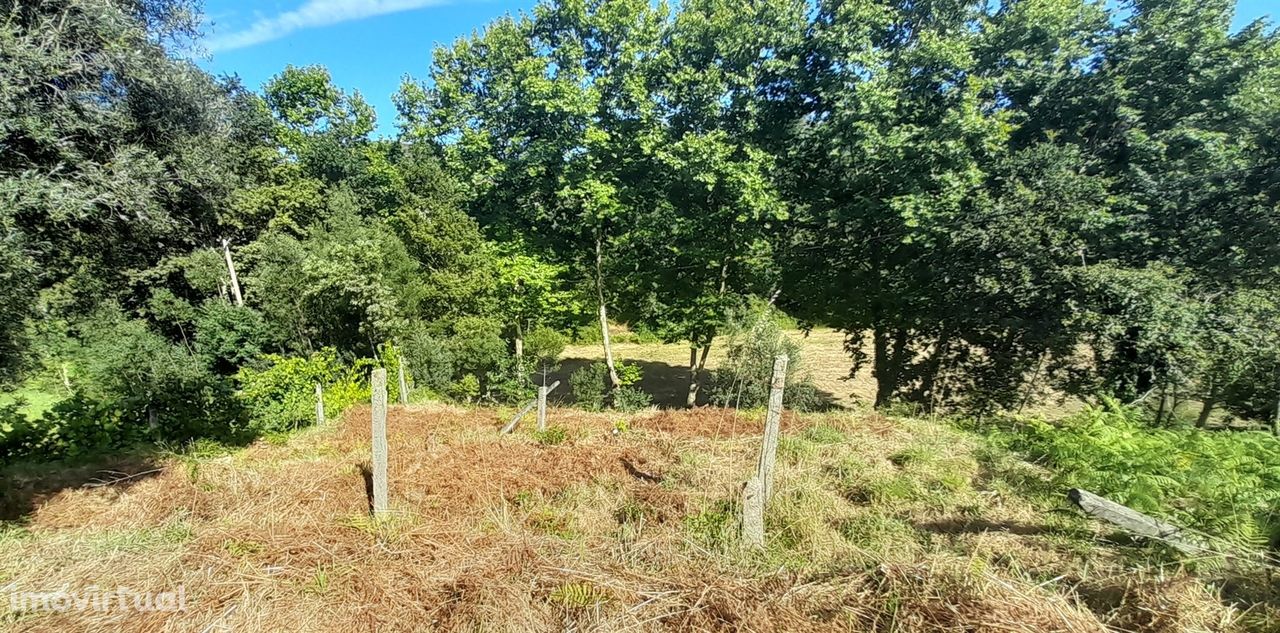 Terreno  Venda em Sopo,Vila Nova de Cerveira