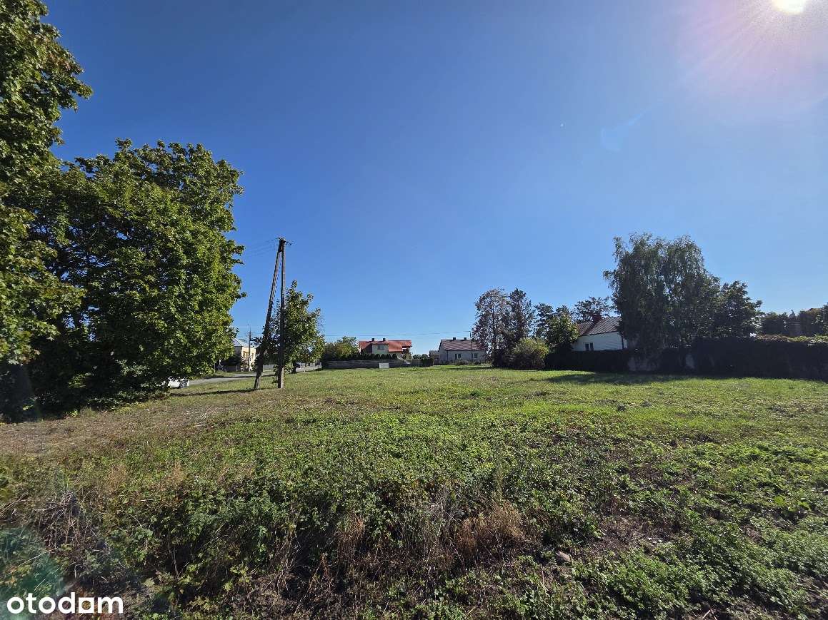 Działka inwestycyjna 1800 m² – Model, gm. Pacyna - Pełny obrazek: 3/6