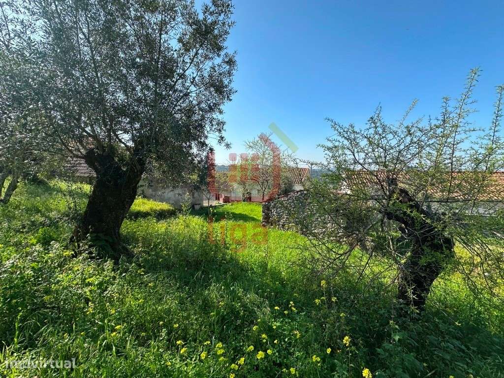 Moradia T2 com Terreno e Anexos - Ourém!-24