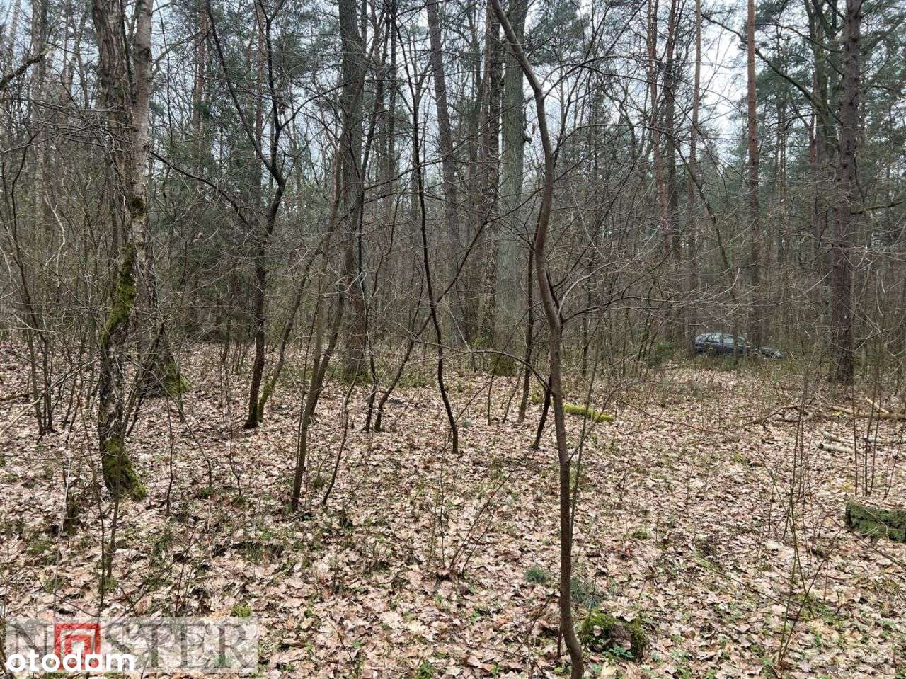 Działka, 1 340 m², Wilkowyja - Pełny obrazek: 4/6