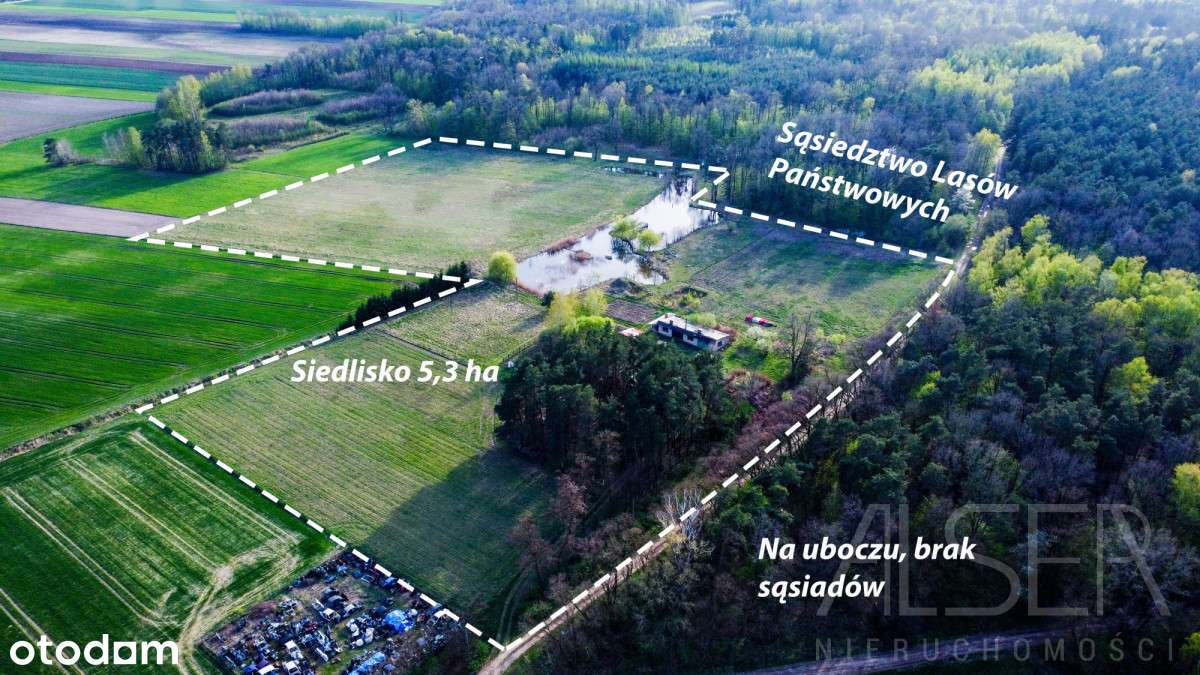 Siedlisko na uboczu | Brak sąsiadów | 5.3 Ha| Bud