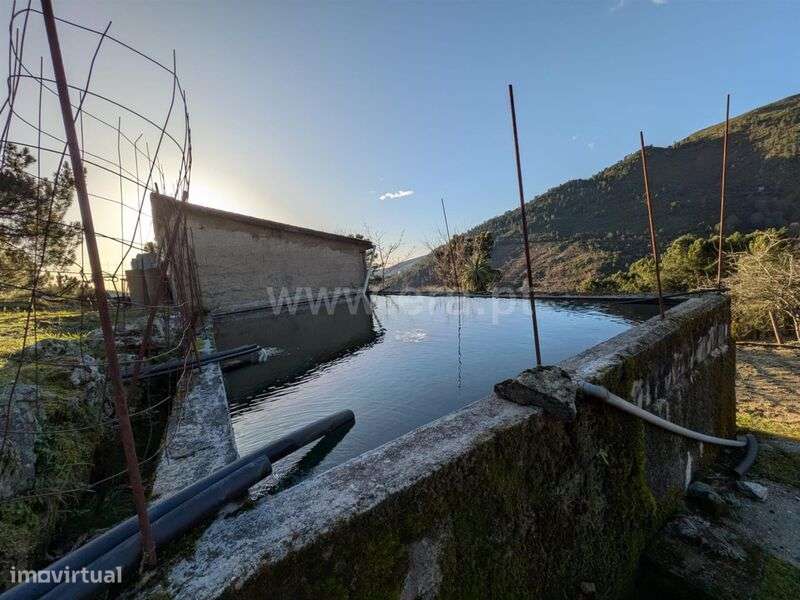 Quinta / Seia, Loriga - Grande imagem: 5/12