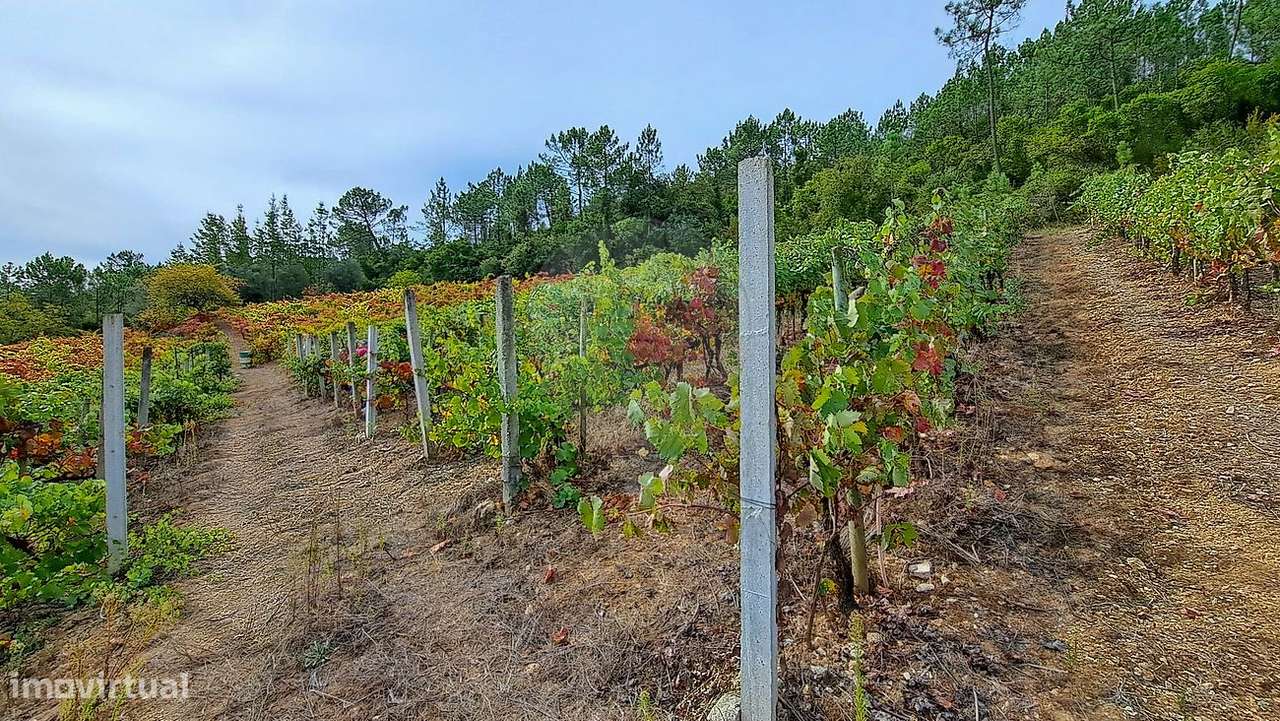 Terreno  para venda - Grande imagem: 5/7