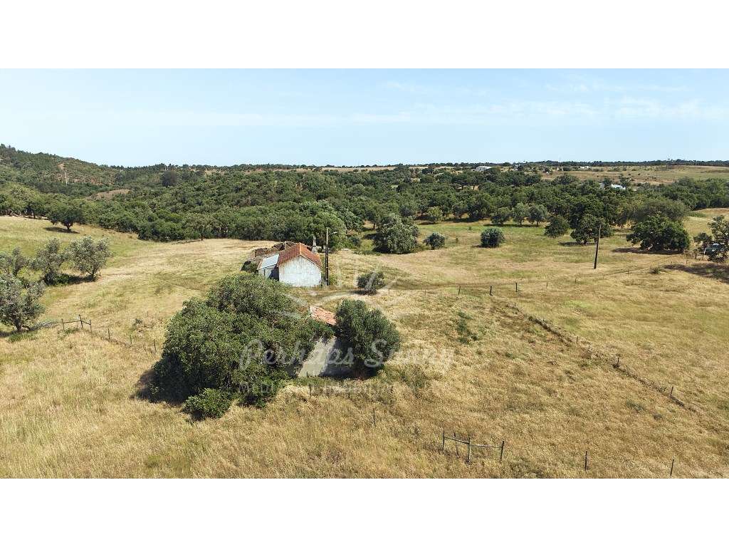 Terreno Misto para construção de Habitação ou Turismo - Melides-31