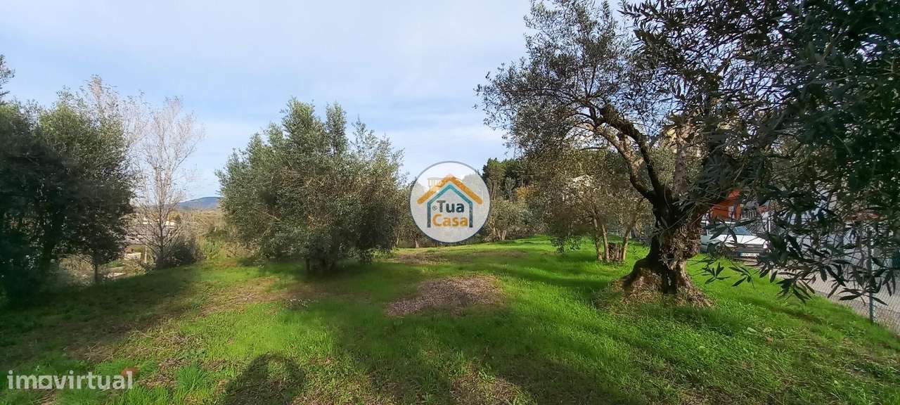 Terreno Rústico em Souselas com 1.813,50 m2 - Grande imagem: 2/16