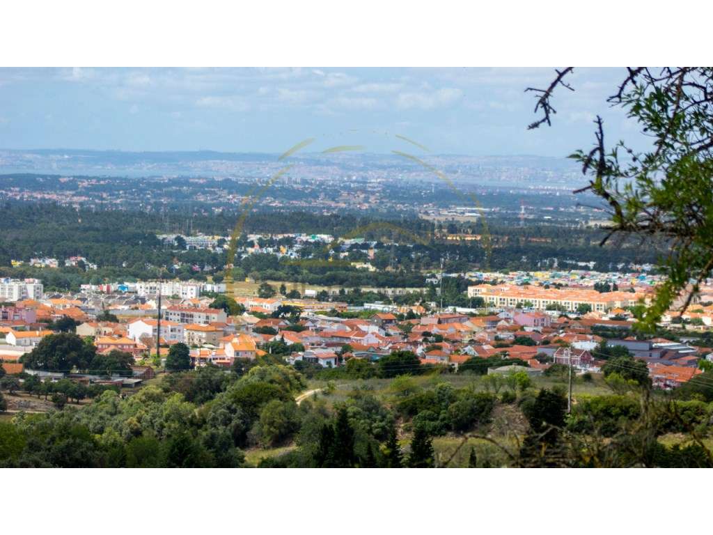 Terreno para construção Quinta da Marquesa (1250m2) - Palmela-11