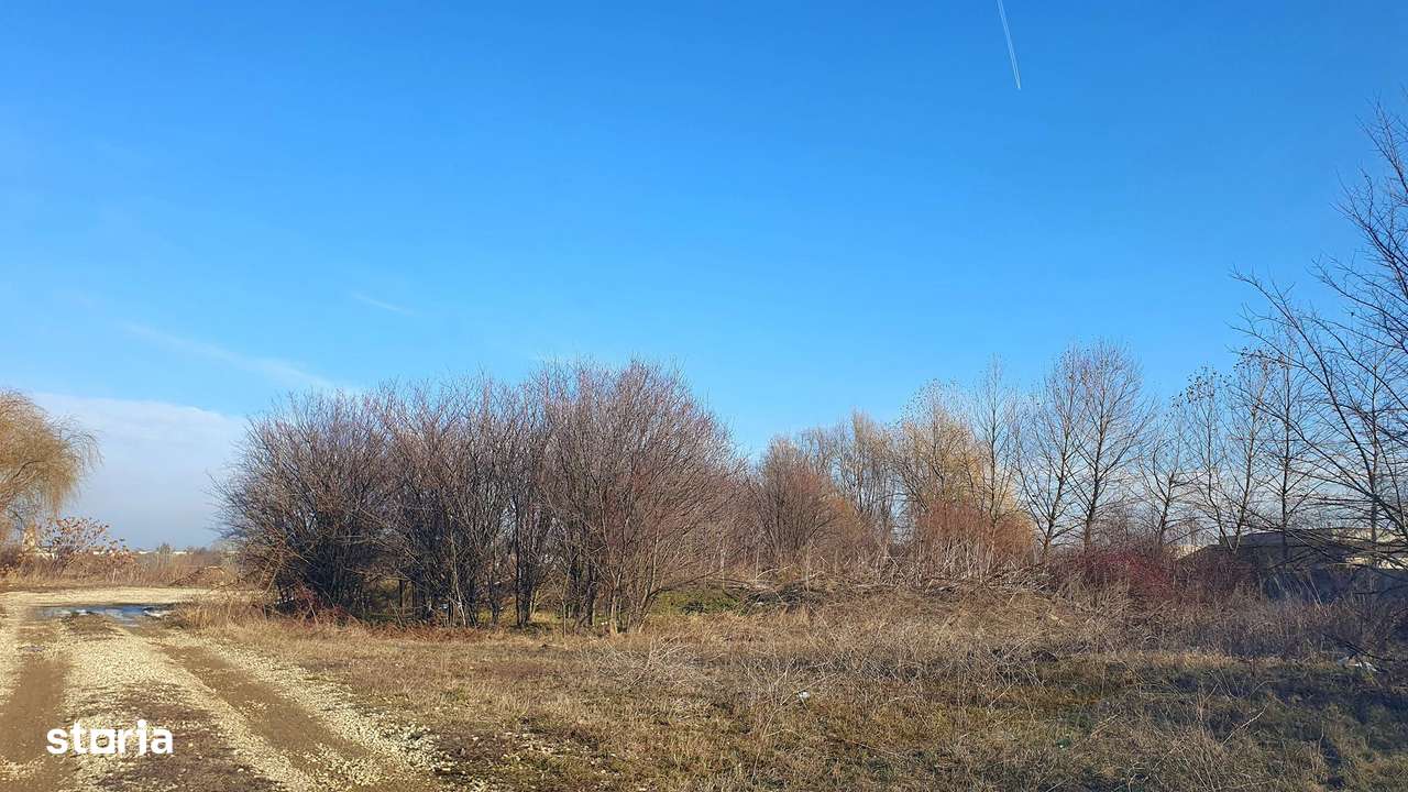 Teren pentru casă cu priveliște la lacul Buftea.-2