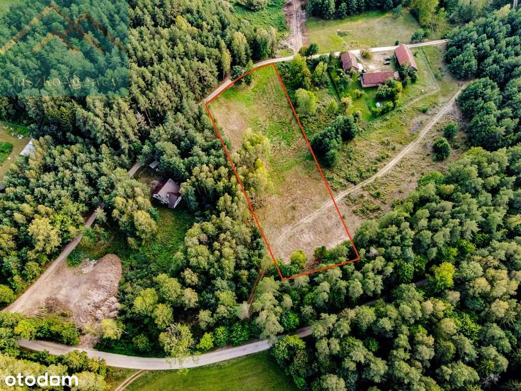 Malownicza działka budowlana blisko Jezior. - Pełny obrazek: 4/15