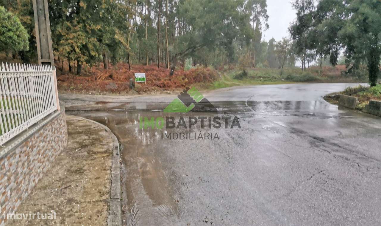 Terreno c/ 6100 m2 nas Caldas de S. Jorge - Grande imagem: 4/11