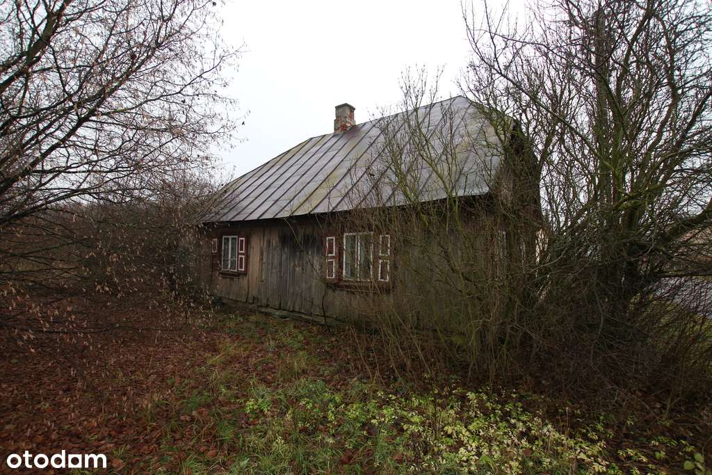 Działka rolno budowlana  1,1 ha Wola Mieczysławska-5