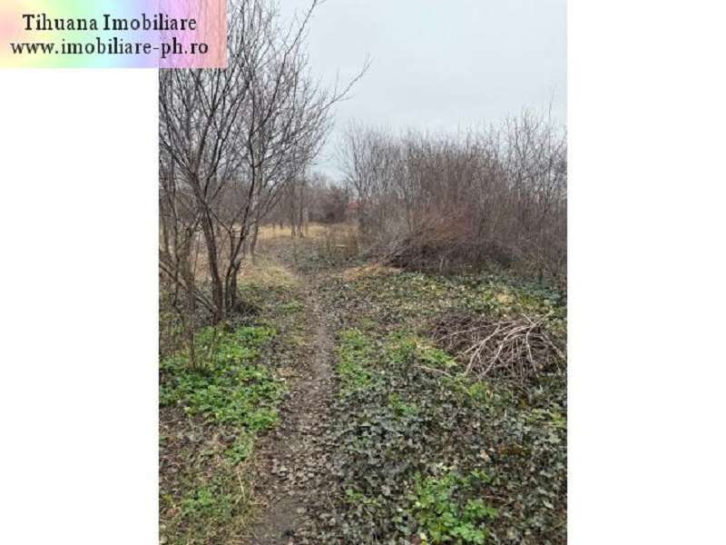 Casa de vanzare : Inotesti-(Comuna Colceag) - Imagine principală: 4/5