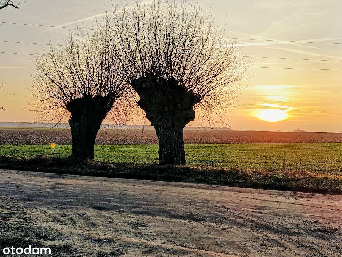 Komorniki gmina, Chomęcice, działka w cichym i spokojnym miejscu-12