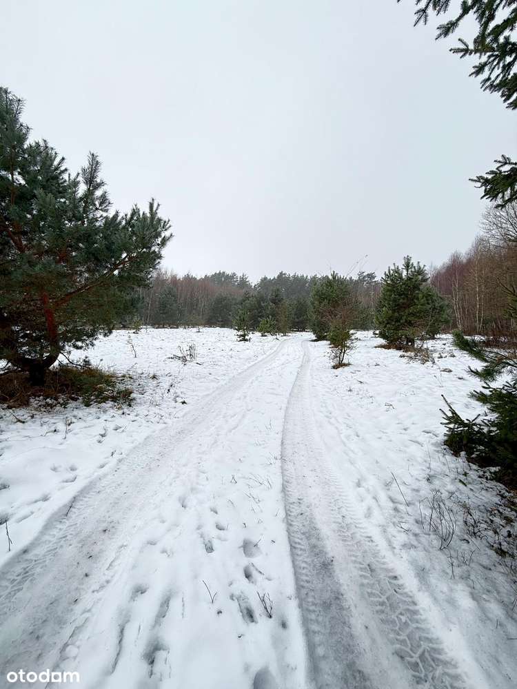 Bezpośrednio, atrakcyjna działka budowlana - Bugaj, gm. Pobiedziska - Pełny obrazek: 5/13
