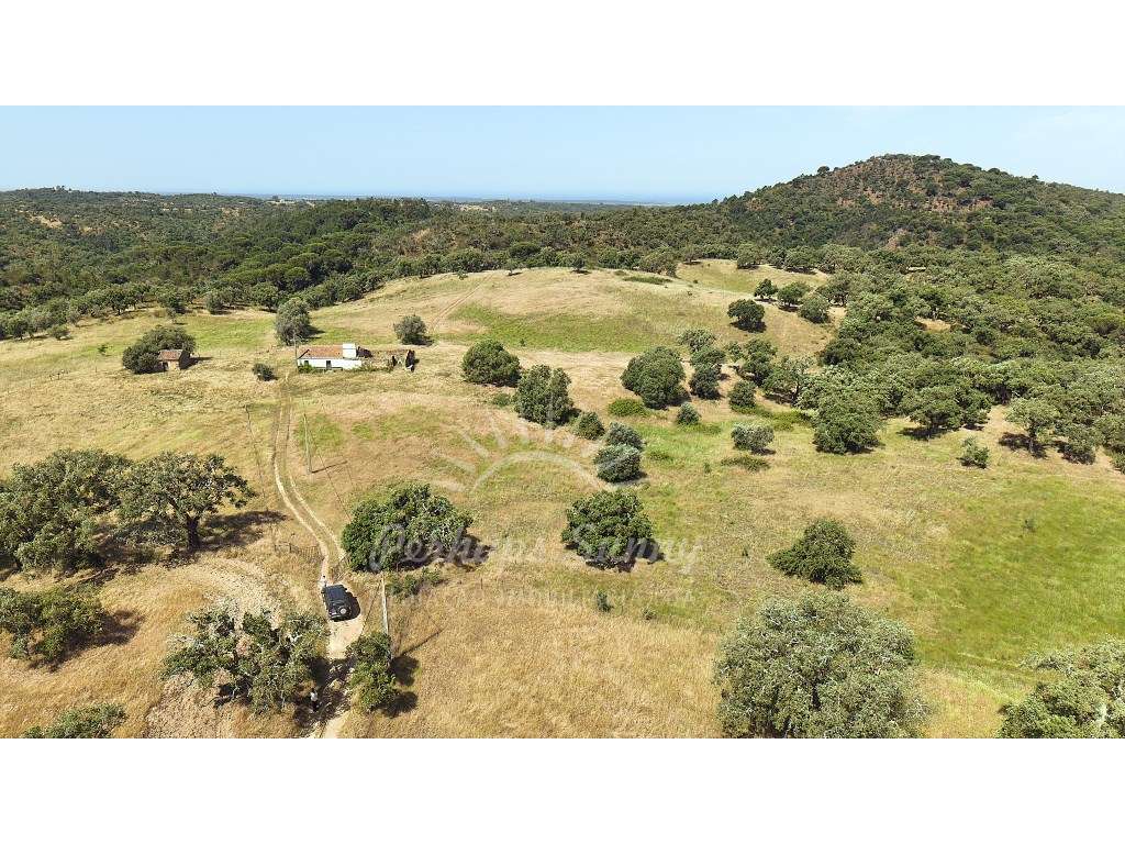 Terreno Misto para construção de Habitação ou Turismo - Melides-26