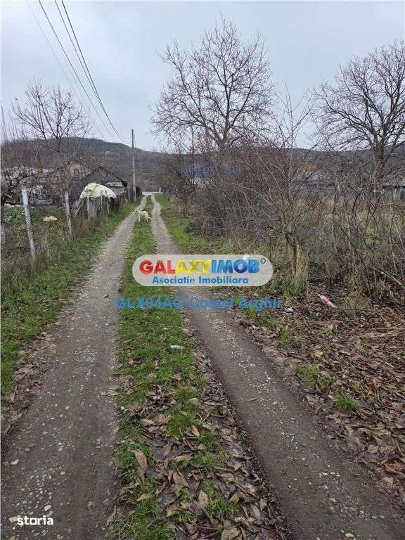 Vindem teren intravilan 1000 mp in Calinesti , dubla deschidere - Imagine principală: 1/4