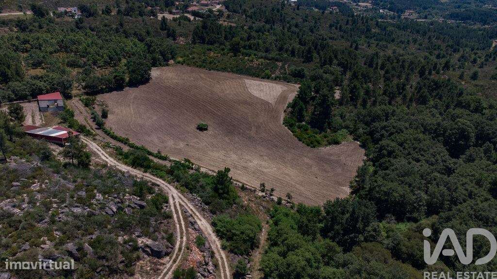 Terreno em Santa Cruz/Trindade E Sanjurge de 55000,00 m2 - Grande imagem: 5/25