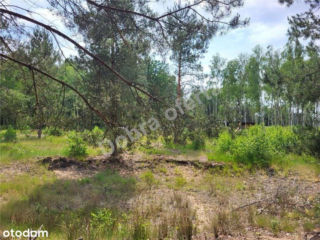 Nowa oferta - dobra cena - miejsce na wypoczynek-6