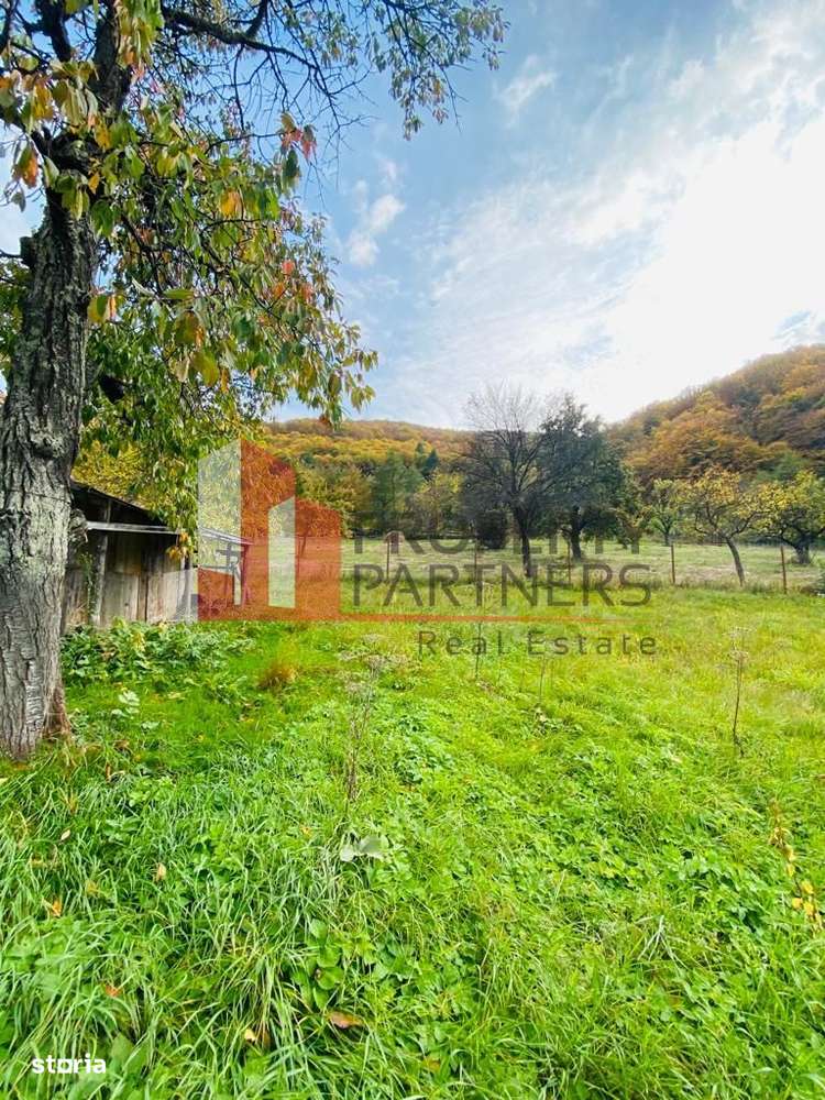 Casa + teren 1700 mp langa Padure Bran/ Predelut - Imagine principală: 3/20