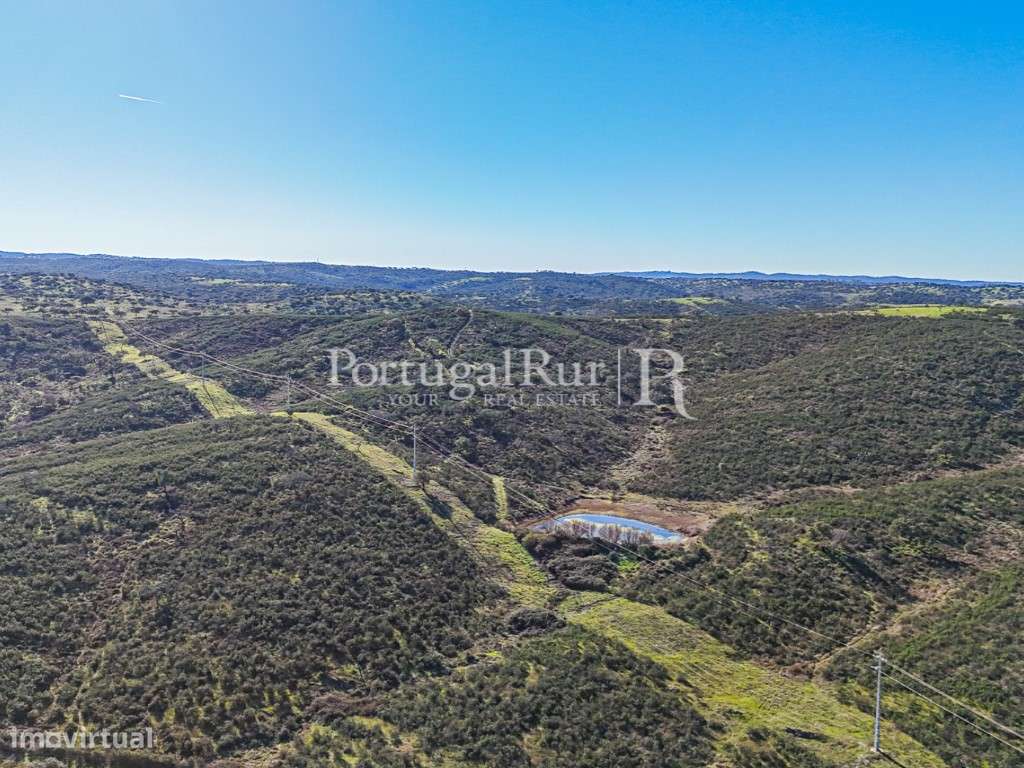 Herdade de Caça Maior com 1000 Hectares + 4 Apartamentos + Anexos-43