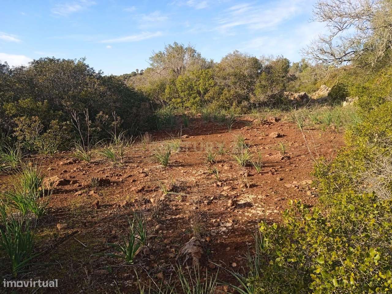 Terreno sito no Monte Branco, S. Bartolomeu de Messines, junto à A2 - Grande imagem: 5/18