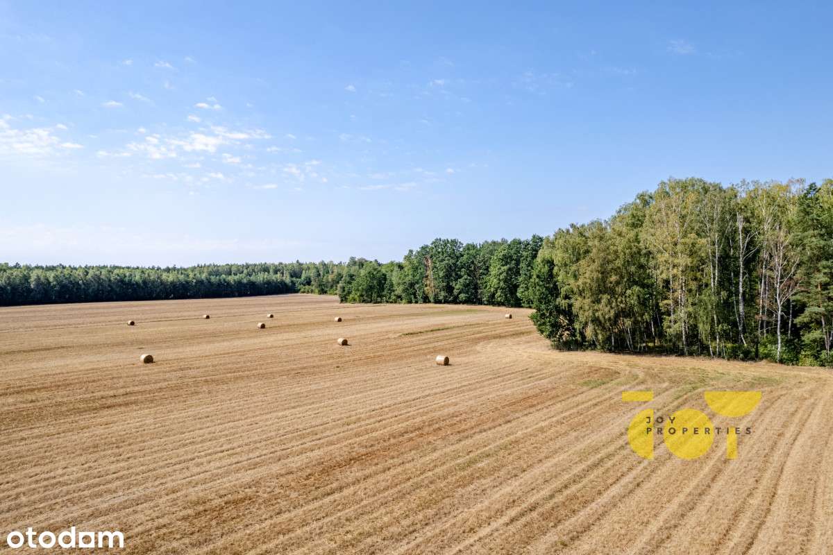 Działka Przy Lesie Z Decyzją Wz, Na Mazowszu - Pełny obrazek: 5/16