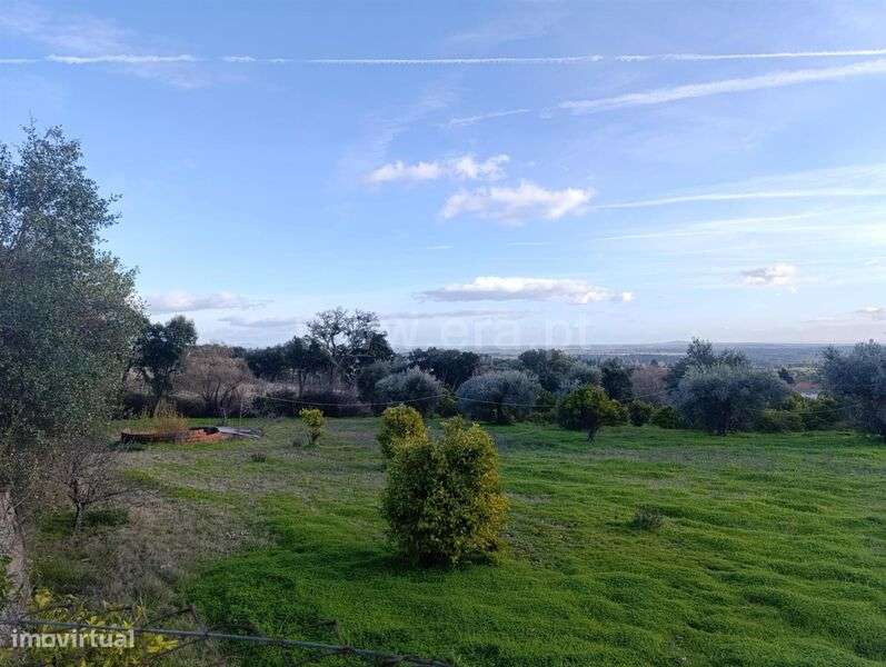 Quinta T1 / Fundão, Vale Prazeres - Grande imagem: 5/16