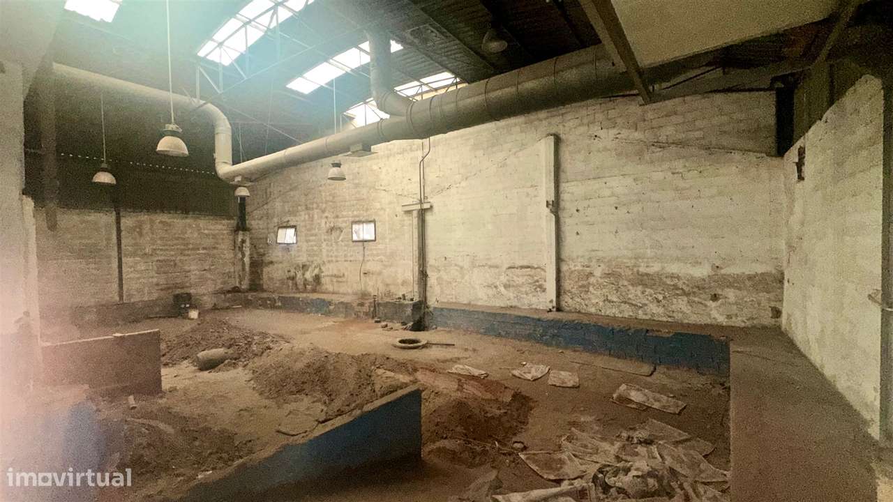 Armazém, Industria em Oliveira do Douro-27