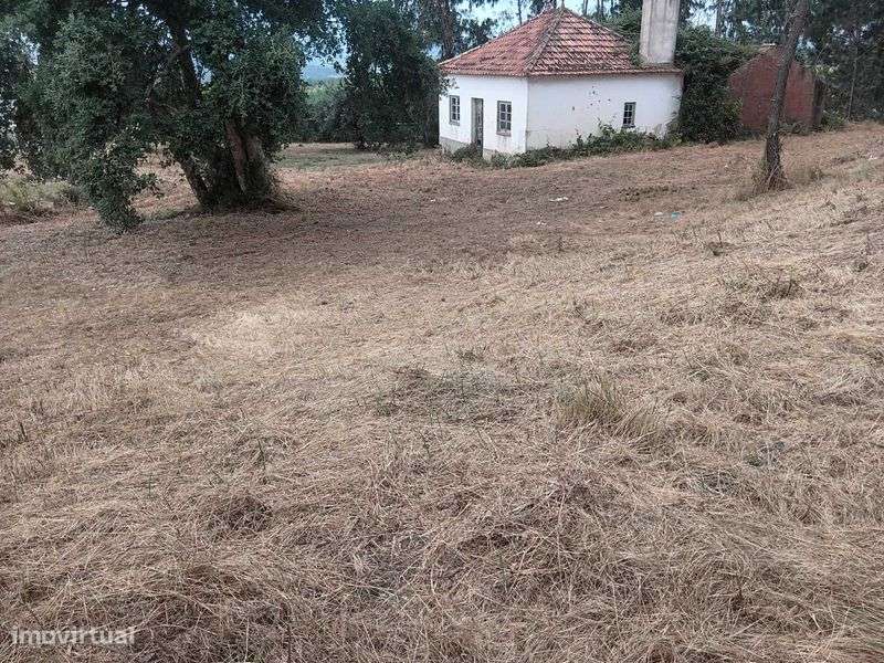 Casa antiga com terreno - Grande imagem: 4/6