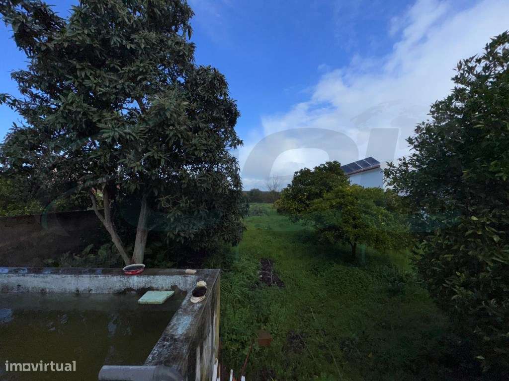 Charme Alentejano numa Moradia T3+2 com Garagem-20