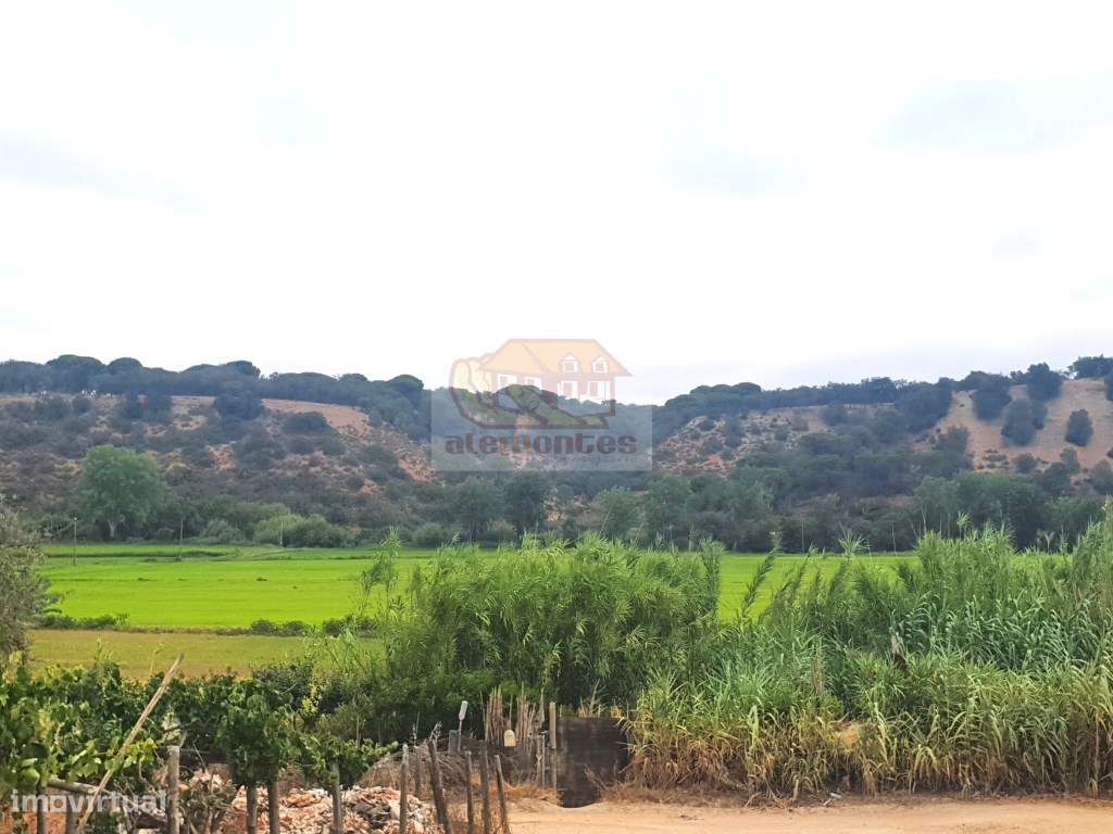 Lote para construção de moradia em aldeia típica alentejana - Grande imagem: 4/8